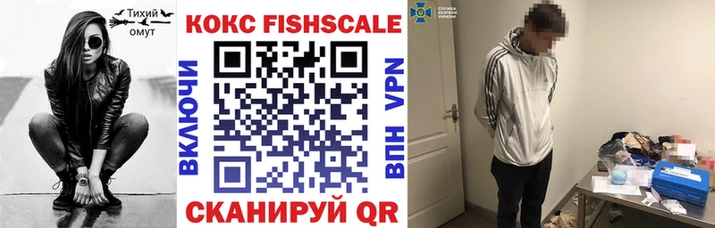 Кокаин Fish Scale  где купить   Рудня 