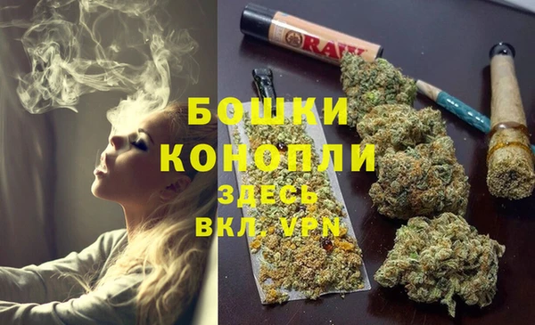 дживик Белоозёрский
