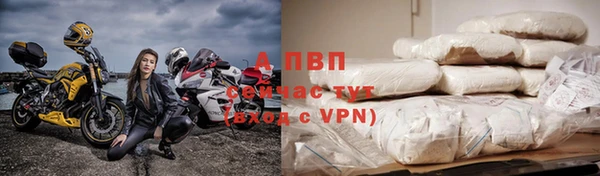 трава Беломорск