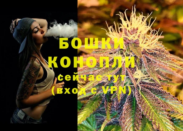 СК Белокуриха