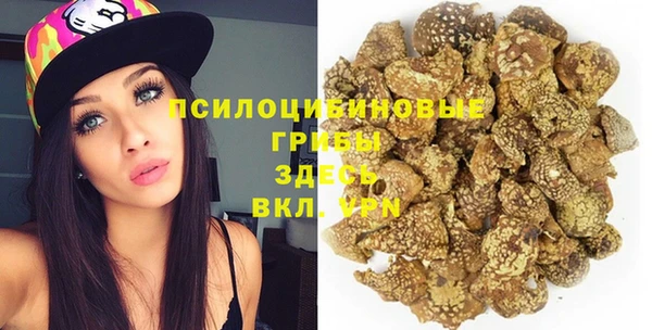 дживик Белоозёрский