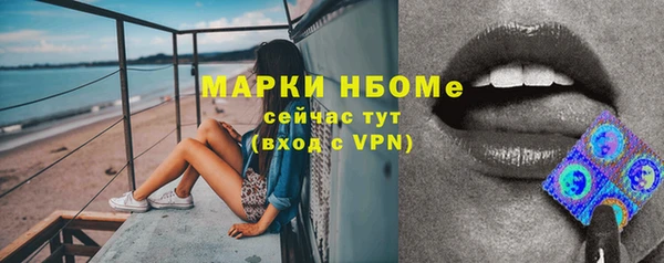 СК Белокуриха