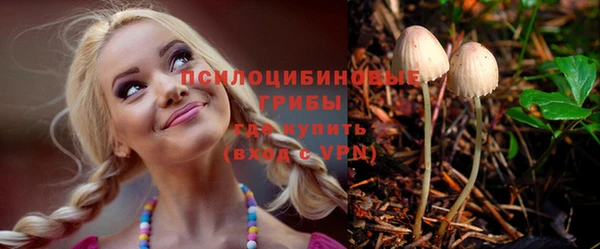 СК Белокуриха